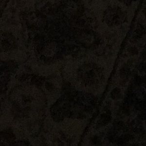 Meet your Posher, Roy